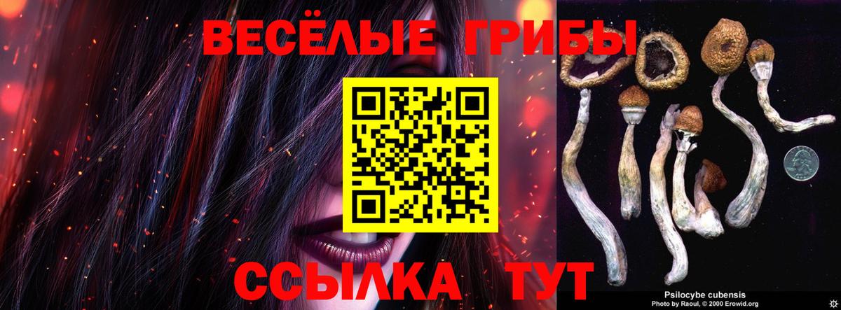купить наркотик  Вход с VPN  Волжский  Галлюциногенные грибы мухоморы 